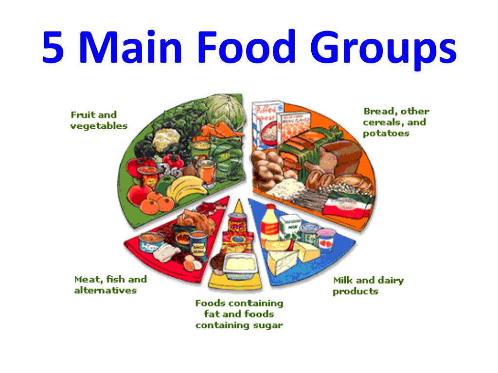 presentation about food groups