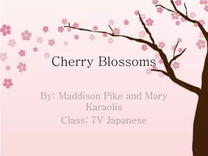 Ppt Cherry Blossoms Powerpoint Presentation Free Download Id