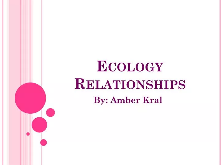 ecological relationship essay