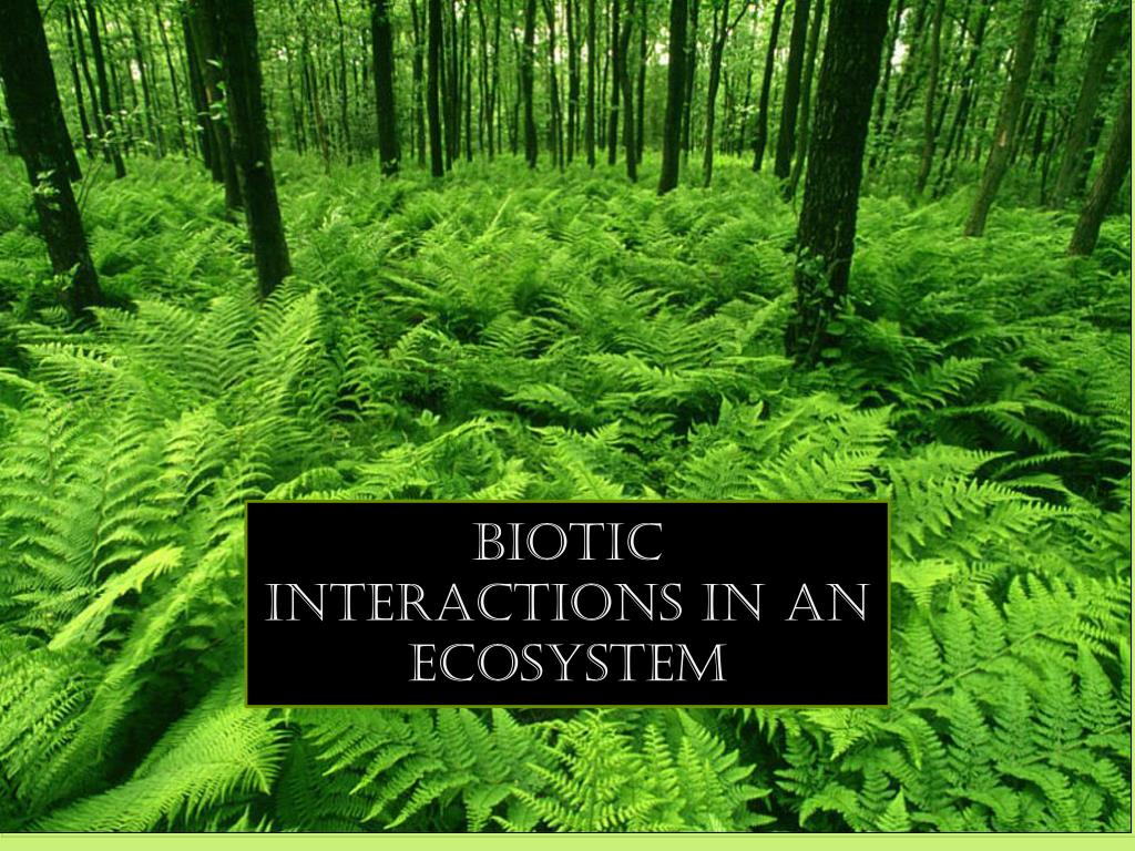 Ppt Biotic Interactions In An Ecosyste M Powerpoint Presentation Free Download Id2827728 2007