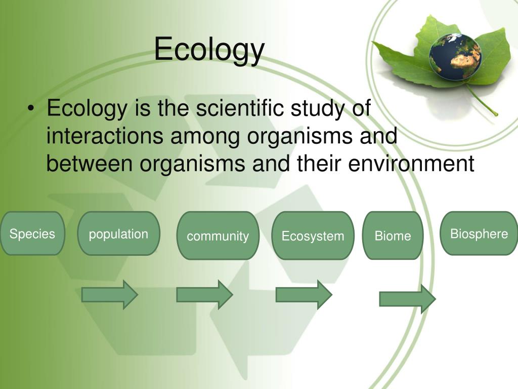 presentation topics about ecology