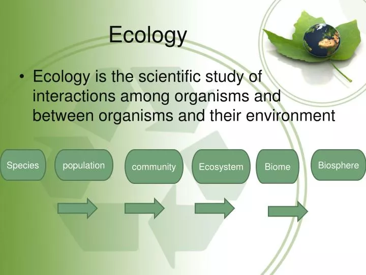 ppt presentation on ecology