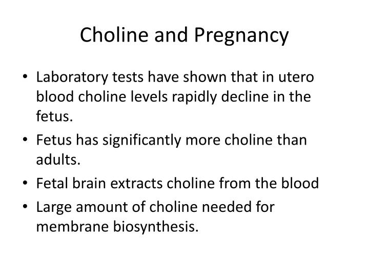 PPT Choline Roles in Brain Development PowerPoint Presentation ID