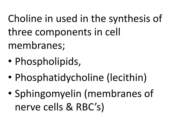 PPT Choline Roles in Brain Development PowerPoint Presentation ID