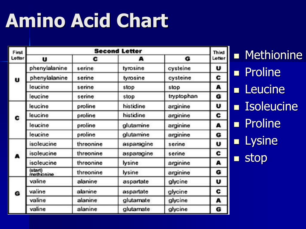 PPT Amino Acid Chart PowerPoint Presentation Free Download ID 2829287
