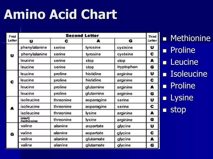 Amino Acid Sequence Chart