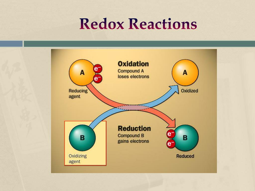 PPT - CELLULAR RESPIRATION & FERMENTATION PowerPoint Presentation - ID ...