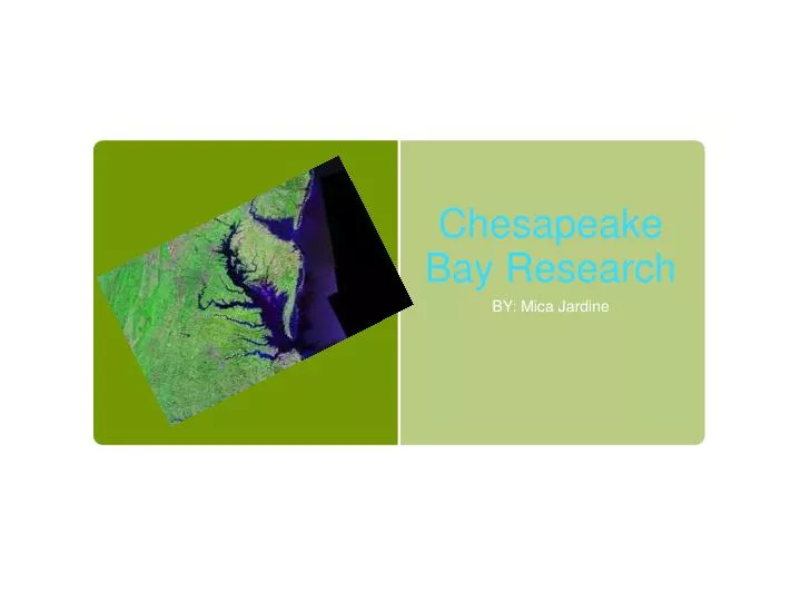 red tide research paper red tide research paper