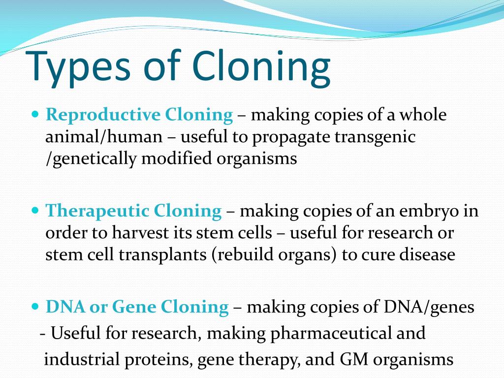 PPT Cloning PowerPoint Presentation, free download ID2831616