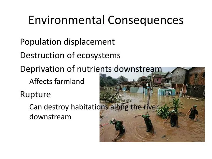 environmental consequences n.