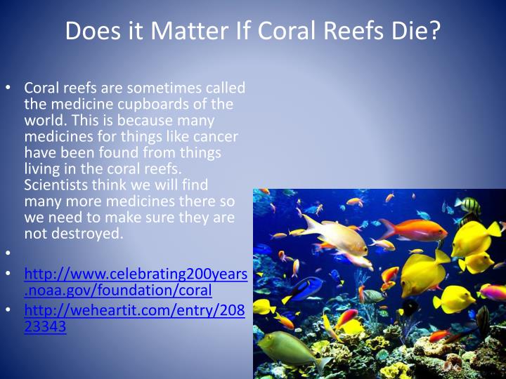 PPT Coral reef PowerPoint Presentation ID2832087