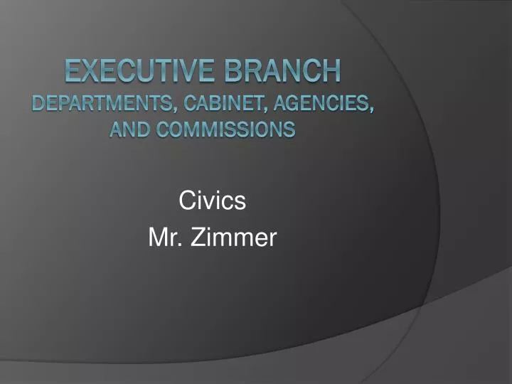 Ppt Executive Branch Departments Cabinet Agencies And