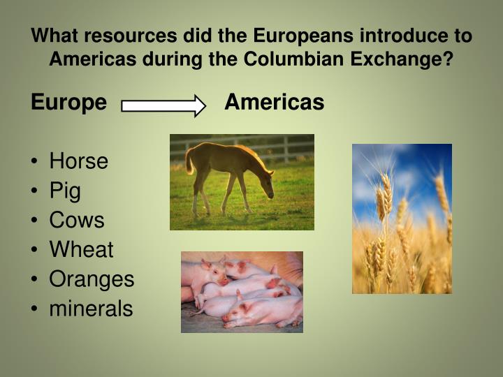 pros cons columbian exchange Get an answer for 'what were some of the positive aspects of the columbian exchange' and find homework help for other what were the cons of the columbian exchange. pros cons columbian exchange Get an answer for 'what were some of the positive aspects of the columbian exchange' and find homework help for other what were the cons of the columbian exchange.