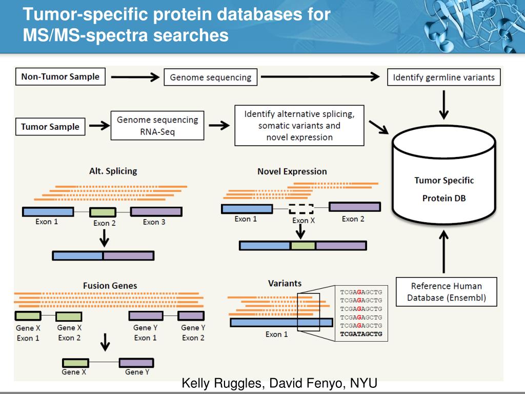 PPT - Proteogenomic Novelty in 105 TCGA Breast Tumors PowerPoint ...