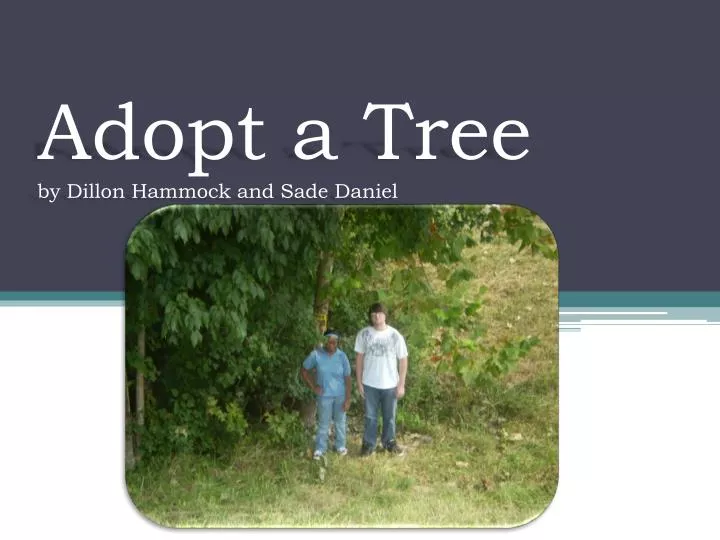 adopt a tree by dillon hammock and sade daniel n.