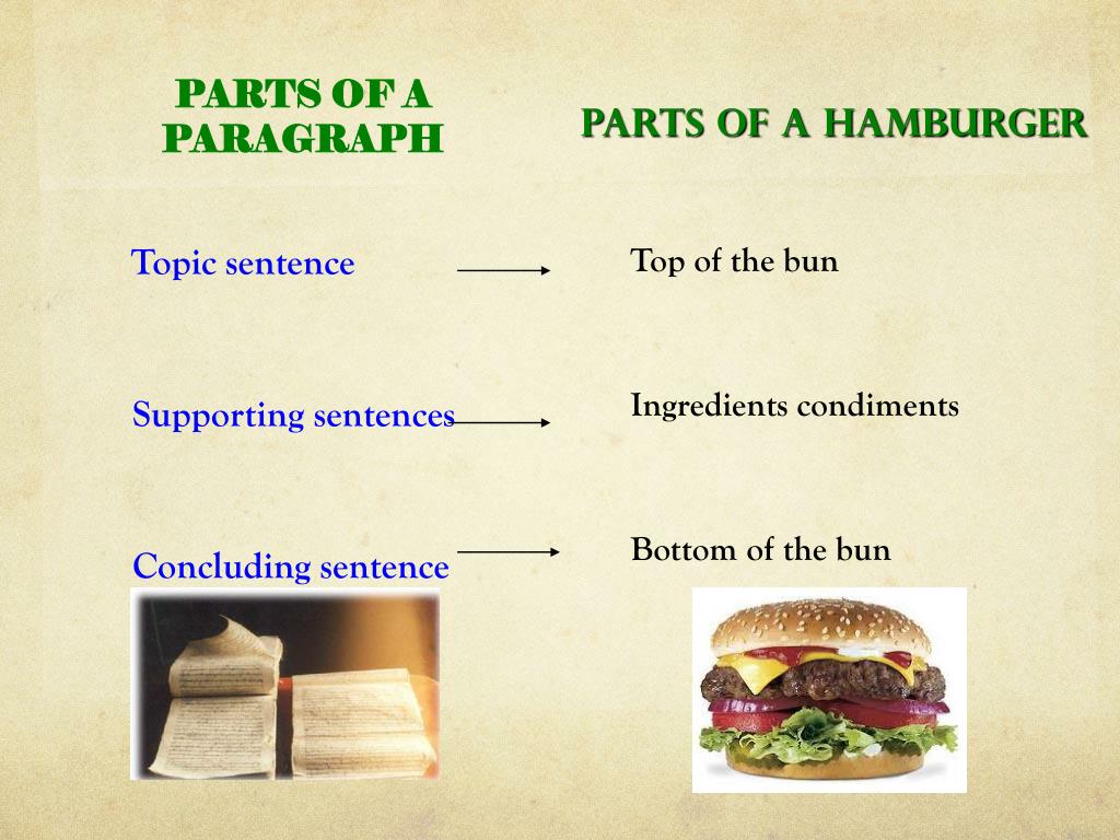 Topic sentence supporting sentences