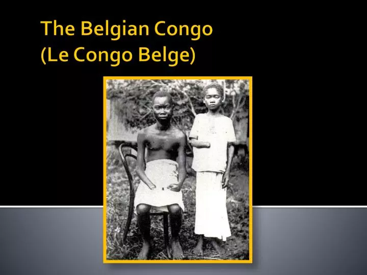 the belgian congo le congo belge n.