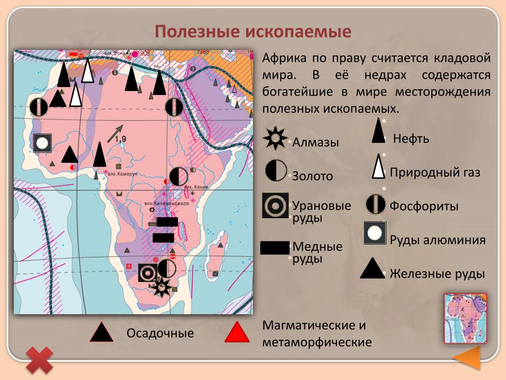 Карта ископаемых. Карта полезных ископаемых Африки. Полезные ископаемые Африки на карте. Место рождения пллезгых ископаемых. Место рождения полезных эскапаемых.