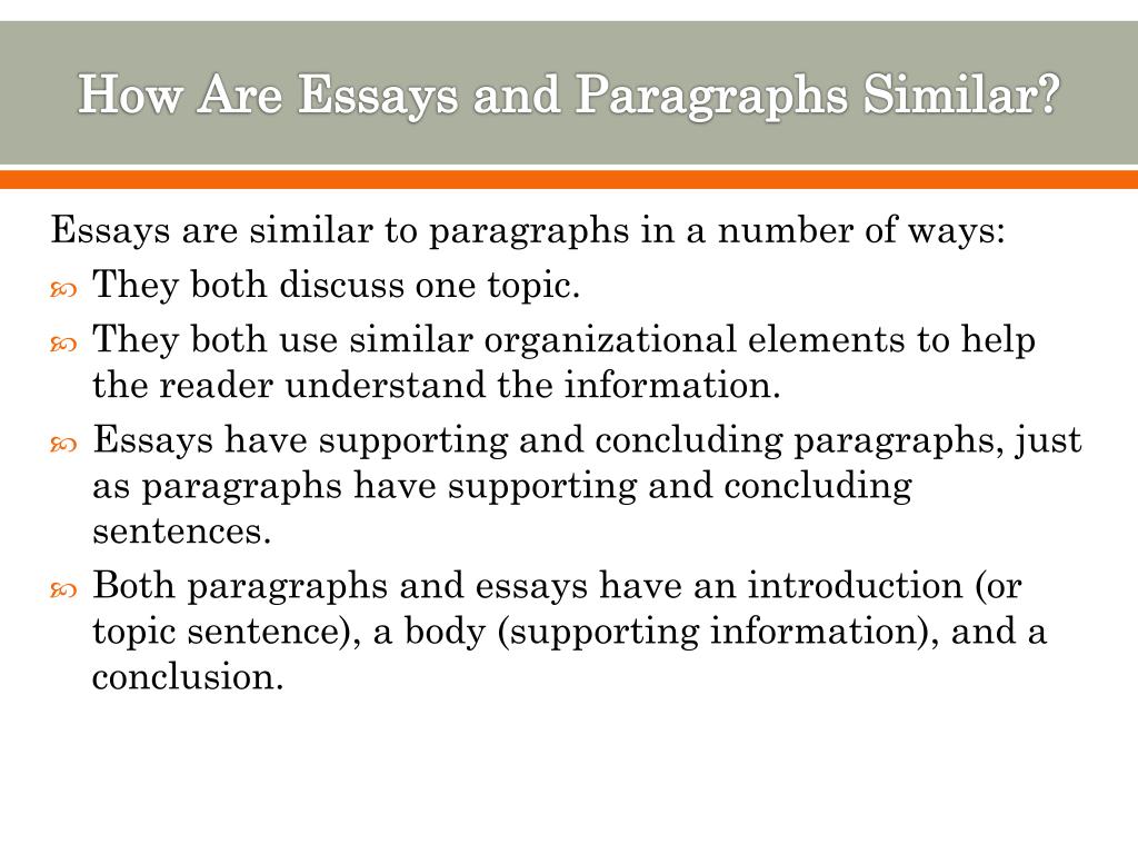 paragraphs and essay difference