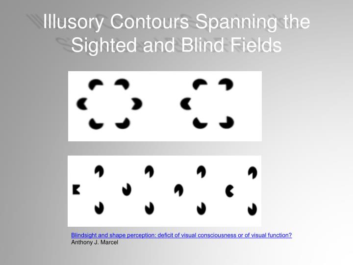 PPT What is Blindsight? PowerPoint Presentation ID2838348