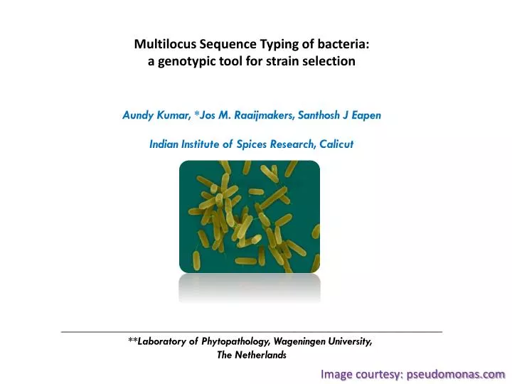PPT - Multilocus Sequence Typing of bacteria: a genotypic tool for ...