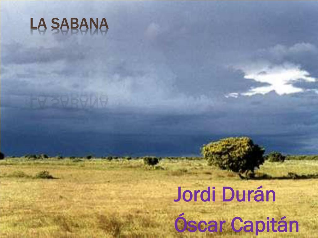 PPT - La Sabana PowerPoint Presentation, free download - ID:2840286