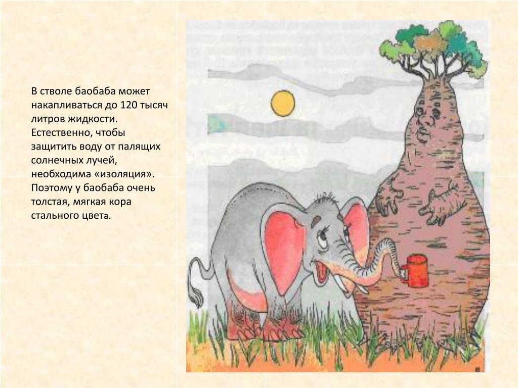 Воспользуйтесь текстом живет на свете баобаб ответы. Баобаб где. Стих про слона. Стихи про Бао баьы. Баобаб стихотворение.