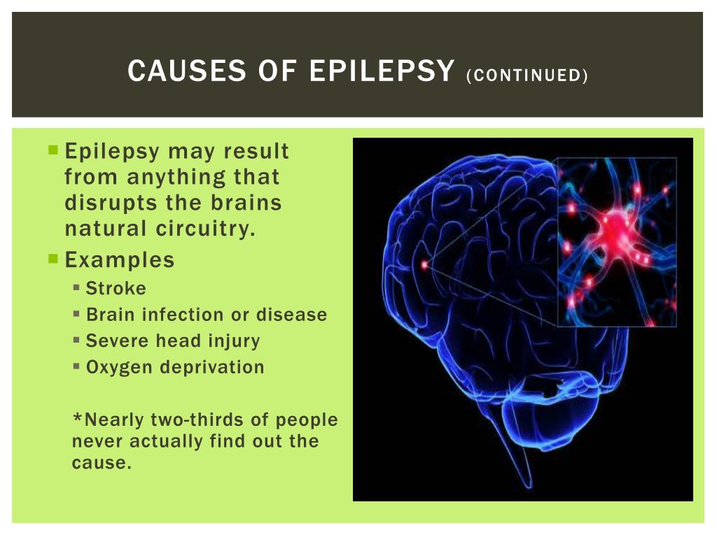 PPT - Epilepsy PowerPoint Presentation, free download - ID:2841428