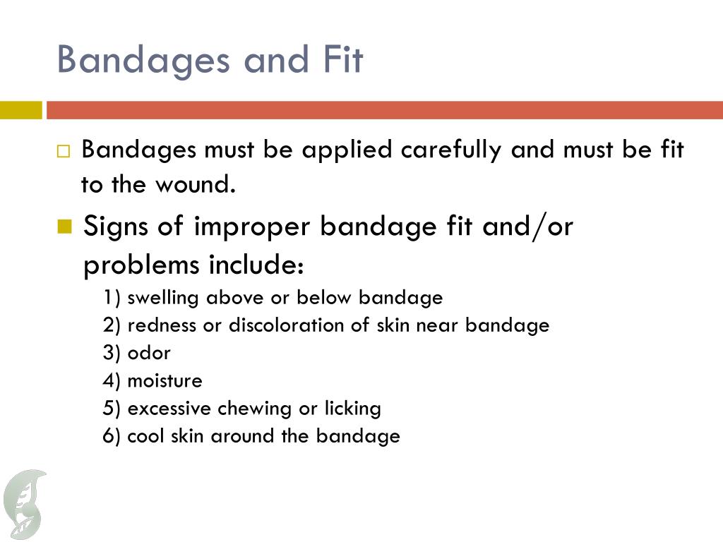 PPT - Bandaging PowerPoint Presentation, free download - ID:2842535