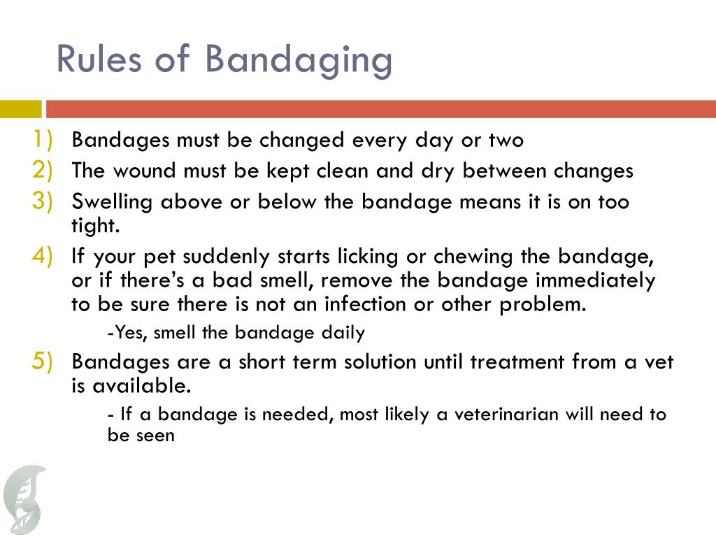 PPT - Bandaging PowerPoint Presentation, free download - ID:2842535