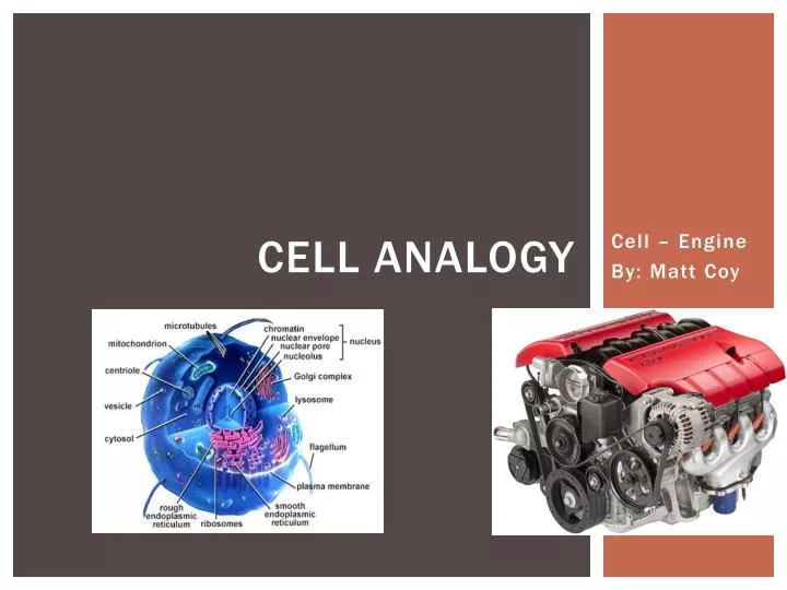 ppt cell analogy powerpoint presentation id 2844751 cell membrane analogy