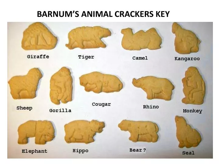 PPT - BARNUM'S ANIMAL CRACKERS KEY PowerPoint Presentation, free download -  ID:2844900
