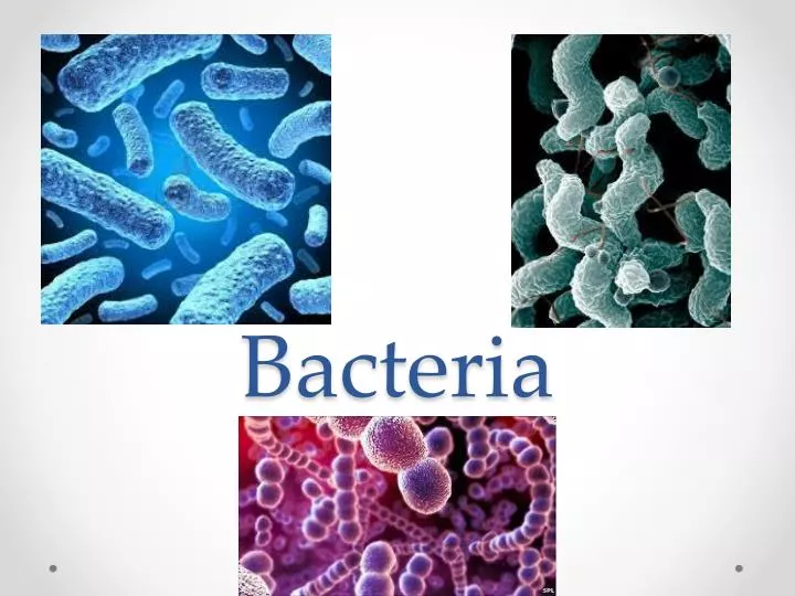 ppt-bacteria-powerpoint-presentation-free-download-id-2845083