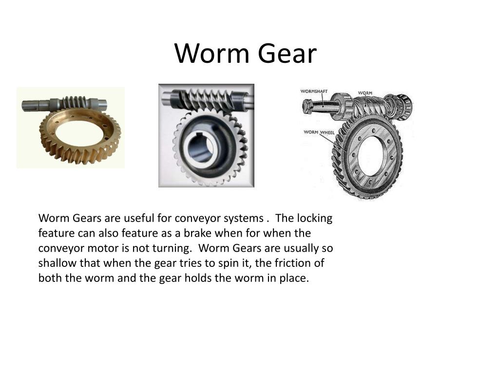 PPT - Worm Gear PowerPoint Presentation, free download - ID:2846147