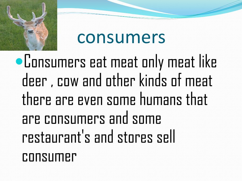 Producers, consumers, scavengers ,decomposers PowerPoint ... Biology Diagrams
