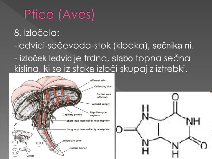 Подшипник aves 7