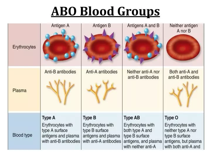 seminar presentation on blood group