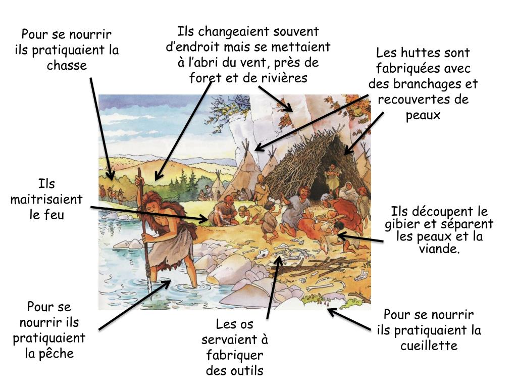 évaluation Sur Le Paléolithique 6ème PPT - La vie au paléolithique PowerPoint Presentation, free download