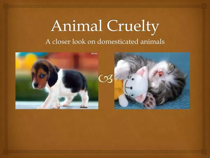 the major issue of cruelty to animals the major issue of cruelty to animals
