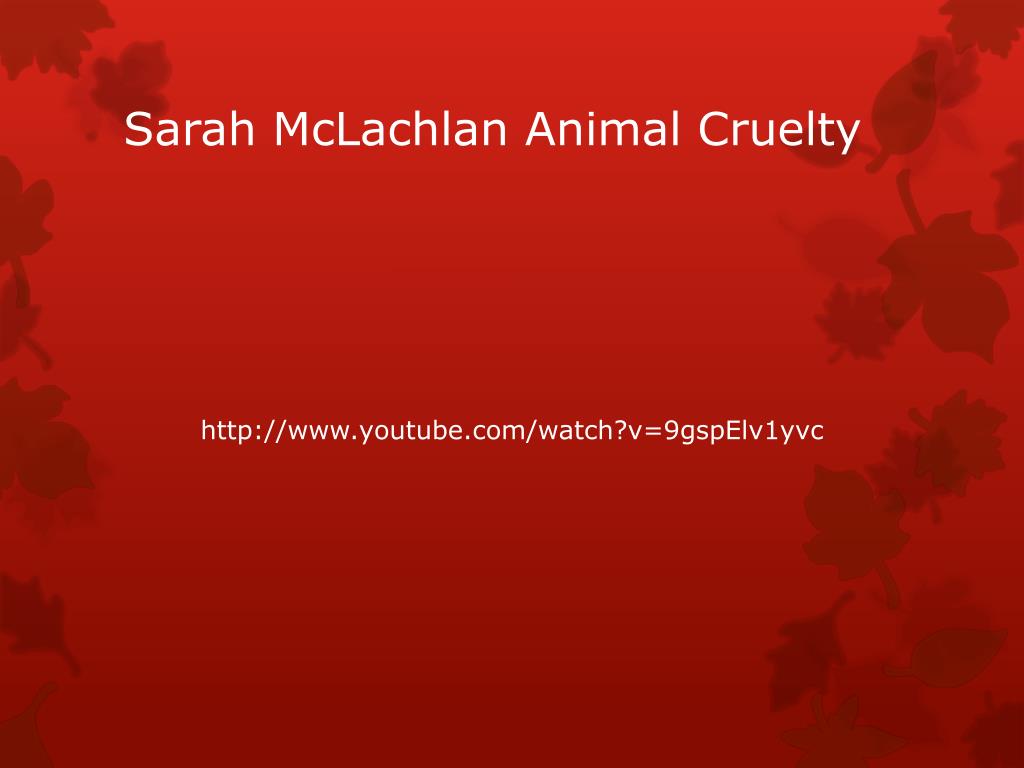 sarah mclachlan animal abuse