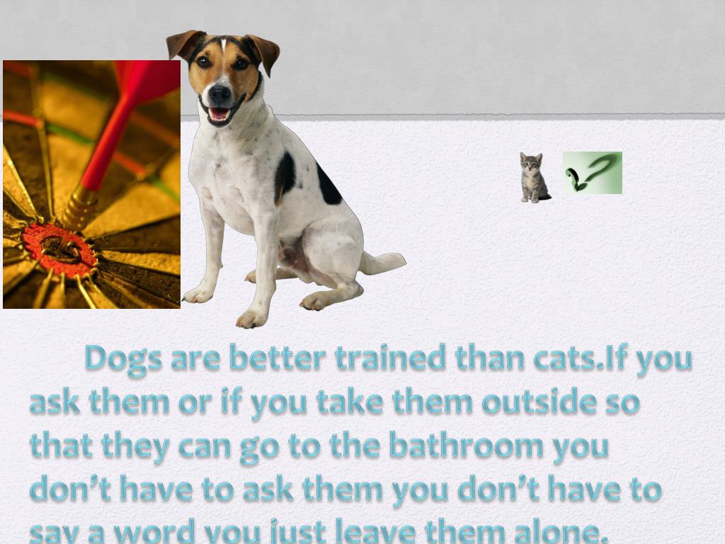 why dogs are better pets than cats essay