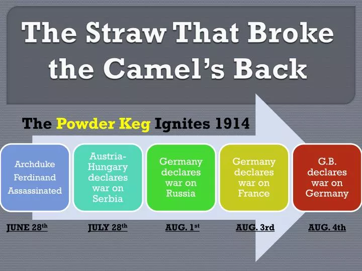 PPT The Straw That Broke the Camel’s Back PowerPoint Presentation, free download ID2854778