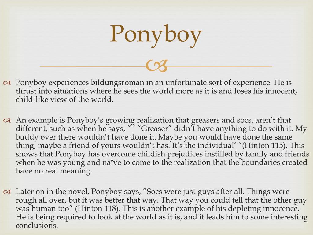 the first sentences of ponyboy's essay