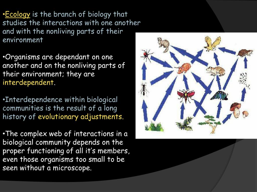 PPT - Biology 1.1 Themes of Biology PowerPoint Presentation, free ...
