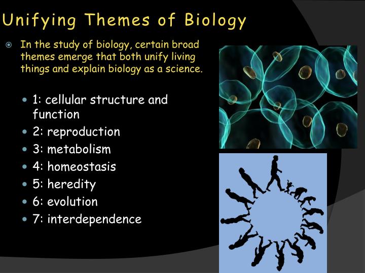 PPT Biology 1 1 Themes Of Biology PowerPoint Presentation ID 2855645 ppt-biology-1-1-themes-of-biology-powerpoint-presentation-id-2855645