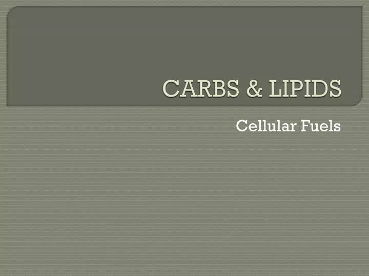 carbs lipids n.