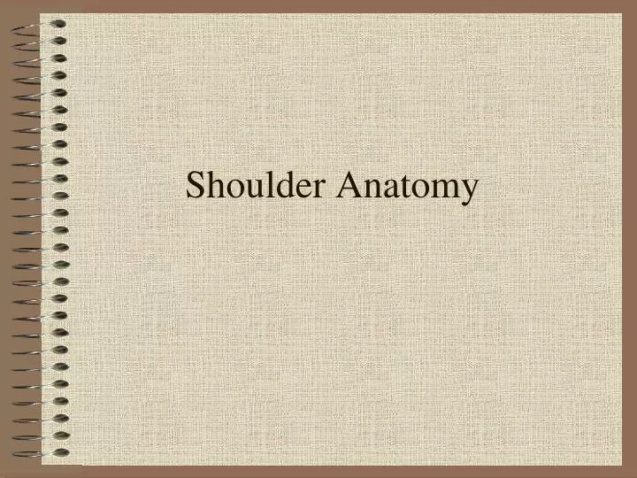 shoulder anatomy n.