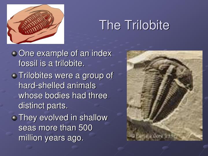 PPT - A Trip Through Geologic Time PowerPoint Presentation - ID:2861466