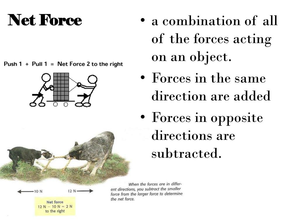 ppt-determining-net-force-powerpoint-presentation-free-download-id