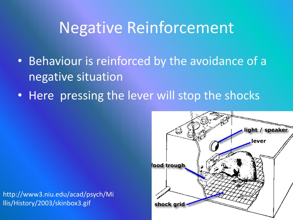negative reinforcement assignments